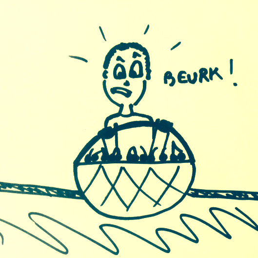 PanierDeCerise_Humeurdemoutard