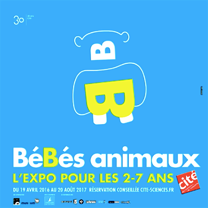 BéBésAnimaux_HDM