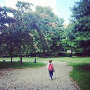 13950831_10155154762534937_118349957_o