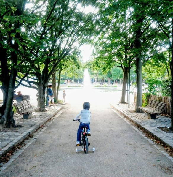 14012733_10155154769854937_753140198_o