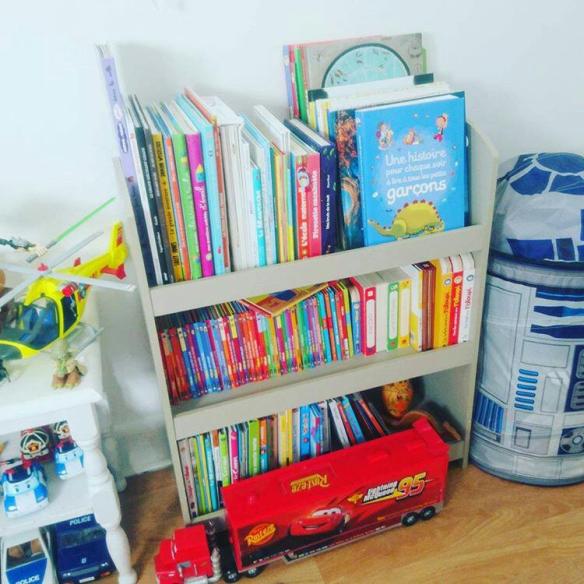 bibliotheque_humeurdemoutard