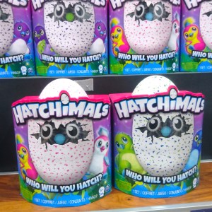 lagranderecre22_noel2016_humeurdemoutard