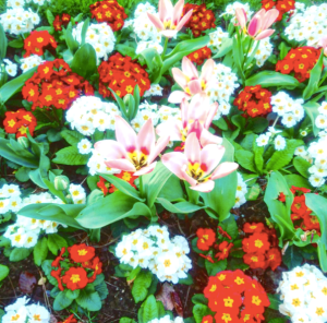 SupplementDAme_2_Humeurdemoutard