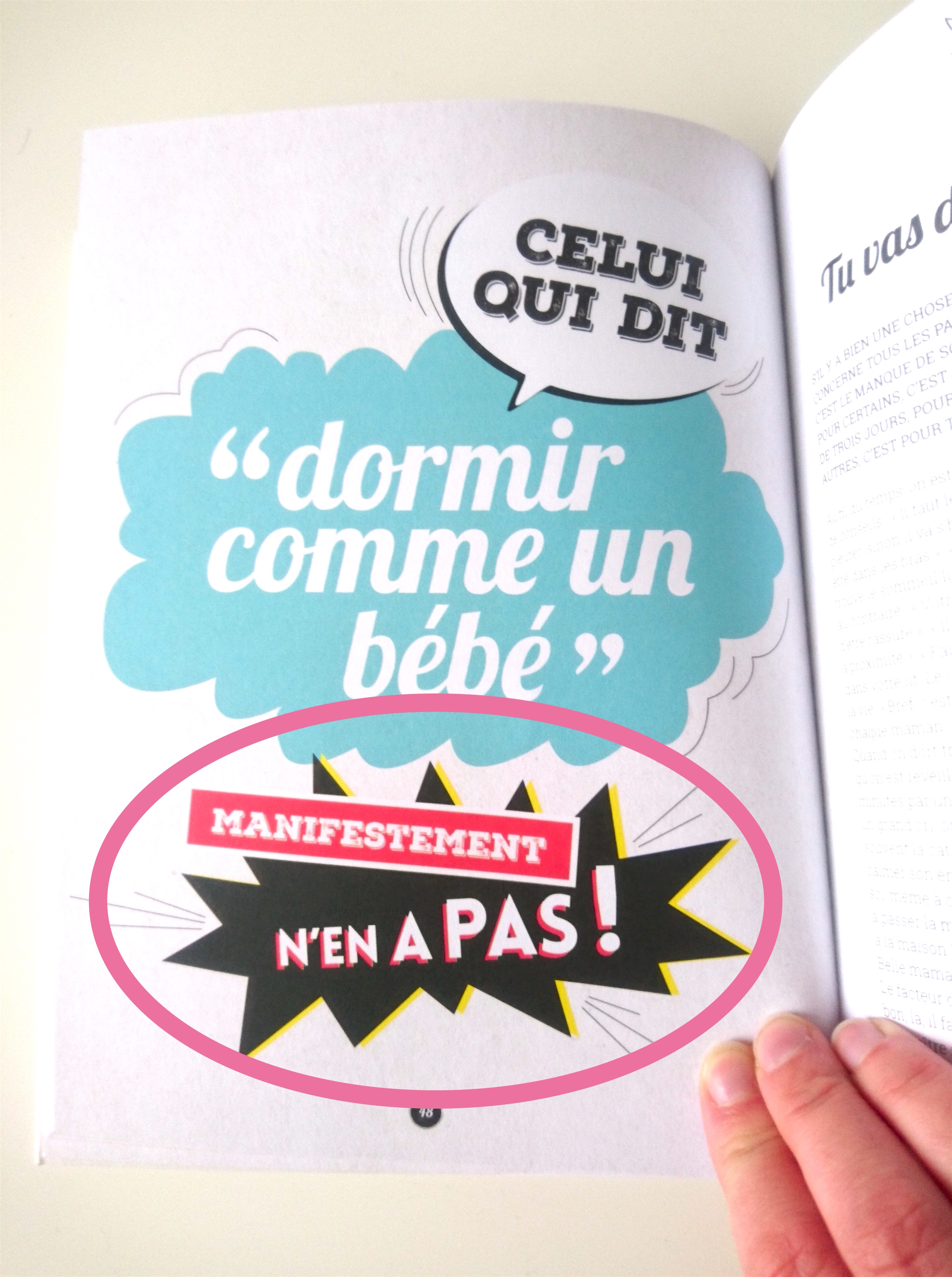 LeGuideDeSurvieDesMamansDebordees_8_Humeurdemoutard