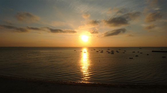 Leverdesoleil_Humeurdemoutard