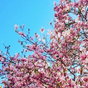 Humeurdemoutard_Espoir